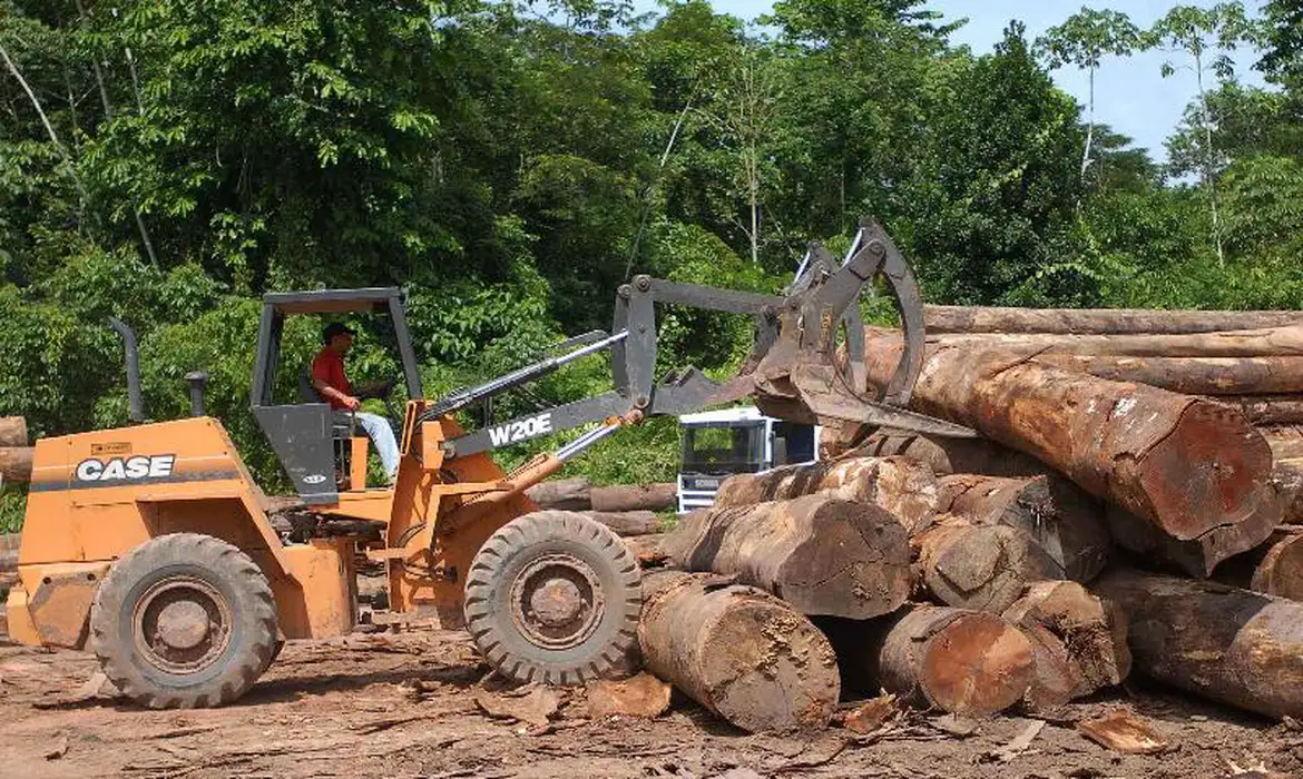 Setor da madeira tenta evitar tarifa de 25% nos EUA