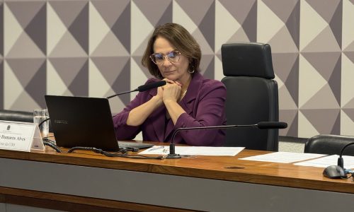 Aliados de Flávio Bolsonaro atacam Damares com publicações de conotação sexual