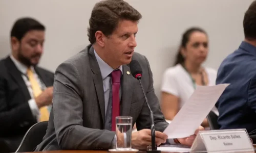 Grupo de Tarcísio tentará conversa com Salles para evitar racha em SP