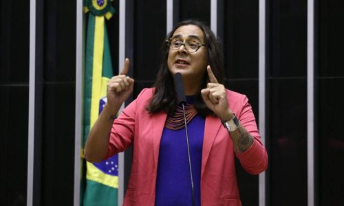 Duda Salabert ironiza Nikolas após divulgação de conversas com Vorcaro