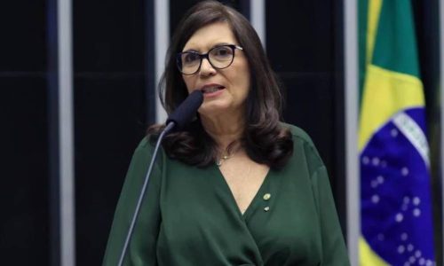 Flávio cita Bia Kicis para vice e pede opinião de apoiadores