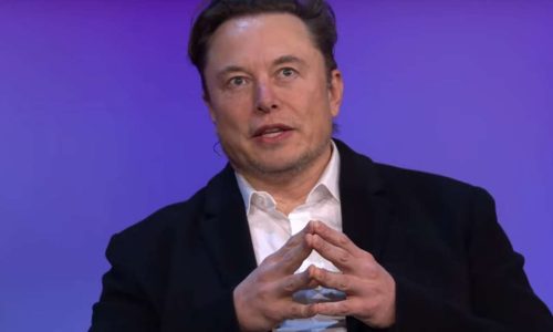 Musk diz que apoia “pessoas normais, não extrema direita”