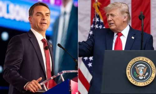 Dossiê sobre tarifas e Pix enviado ao governo Trump amplia desgaste de Flávio Bolsonaro entre eleitores decisivos, aponta pesquisa